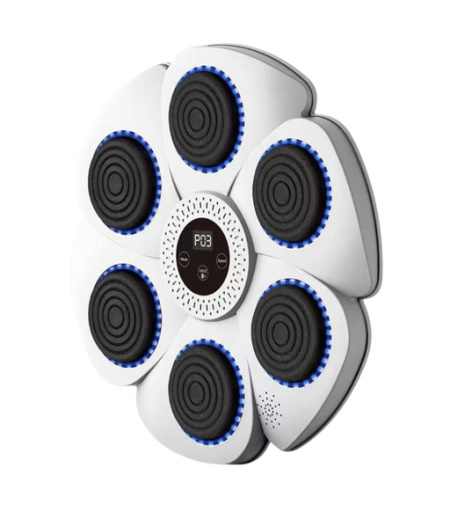2-in-1 Music Boxing Machine - One Deal A Day - Tech Bar Investments